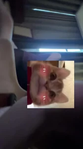 情趣黑丝姐姐沙发骑乘（三）