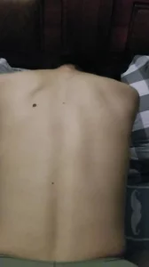 后入大屁股丝袜少妇