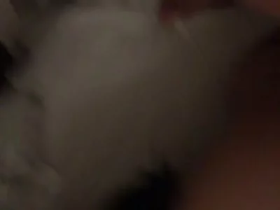 淫语连篇！不看后悔！后入狠操！北京骚逼！到处求操！